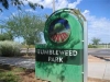 chandlers-tumbleweed-park