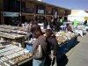 Gem and Mineral Show in Tucson