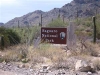 Tucson\'s Saguaro National Park