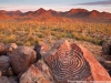 Things to do in Tucson, AZ